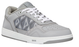 Dior B27 Low 'DGray Smooth'