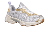 Dior Vibe Sneaker "Gold Silver"