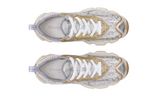 Dior Vibe Sneaker "Gold Silver"